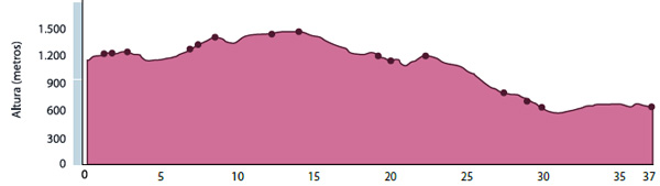 Altimetria de la ruta de mountainbiking