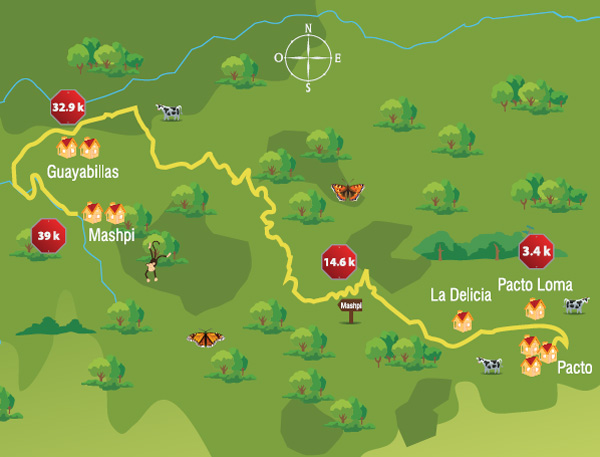 Mapa de la ruta que va desde Pacto a Mashpi